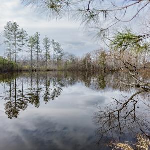 Photo #29 of SOLD property in Off Hughes Mill Road, Burlington, NC 20.1 acres