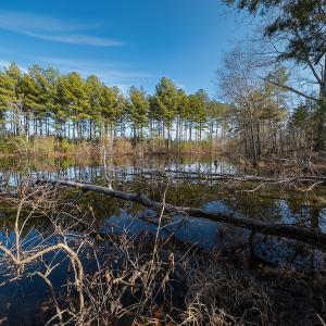 Photo #31 of SOLD property in Off Hughes Mill Road, Burlington, NC 20.1 acres