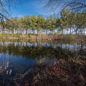 Photo #3 of SOLD property in Off Hughes Mill Road, Burlington, NC 20.1 acres