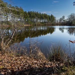 Photo #5 of SOLD property in Off Hughes Mill Road, Burlington, NC 20.1 acres