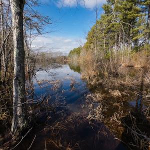 Photo #7 of SOLD property in Off Hughes Mill Road, Burlington, NC 20.1 acres