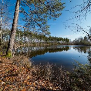 Photo #9 of SOLD property in Off Hughes Mill Road, Burlington, NC 20.1 acres