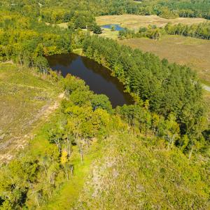 Photo #14 of SOLD property in Off Hughes Mill Road, Burlington, NC 20.1 acres