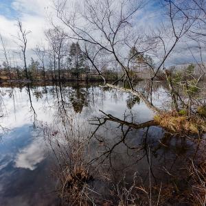 Photo #15 of SOLD property in Off Hughes Mill Road, Burlington, NC 20.1 acres