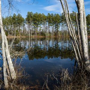 Photo #17 of SOLD property in Off Hughes Mill Road, Burlington, NC 20.1 acres
