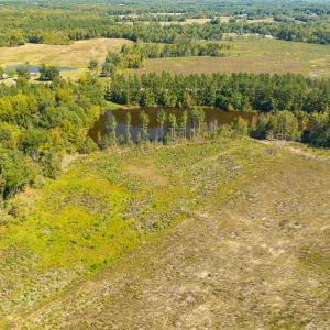 Photo #20 of SOLD property in Off Hughes Mill Road, Burlington, NC 20.1 acres