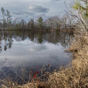 Photo #21 of SOLD property in Off Hughes Mill Road, Burlington, NC 20.1 acres