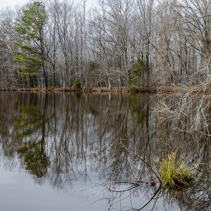Photo #23 of SOLD property in Off Hughes Mill Road, Burlington, NC 20.1 acres