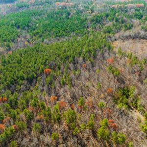 Photo #24 of SOLD property in Off Rocky Ridge Road, Oxford, NC 12.6 acres