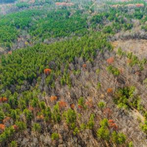 Photo #24 of SOLD property in Off Rocky Ridge Road, Oxford, NC 12.6 acres