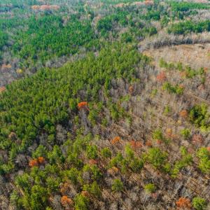 Photo #26 of SOLD property in Off Rocky Ridge Road, Oxford, NC 12.6 acres