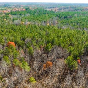 Photo #27 of SOLD property in Off Rocky Ridge Road, Oxford, NC 12.6 acres