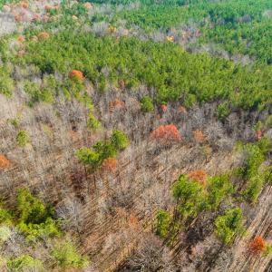 Photo #28 of SOLD property in Off Rocky Ridge Road, Oxford, NC 12.6 acres
