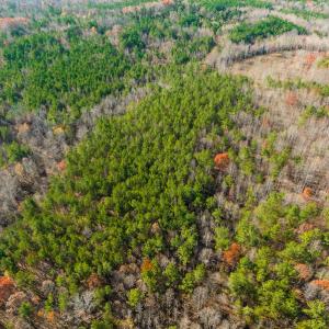 Photo #29 of SOLD property in Off Rocky Ridge Road, Oxford, NC 12.6 acres
