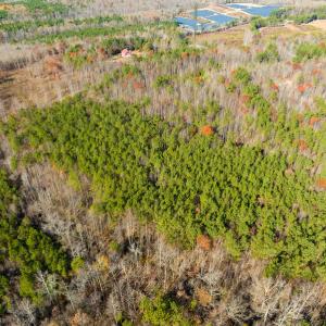 Photo #31 of SOLD property in Off Rocky Ridge Road, Oxford, NC 12.6 acres