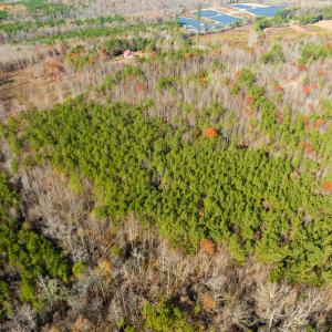 Photo #31 of SOLD property in Off Rocky Ridge Road, Oxford, NC 12.6 acres
