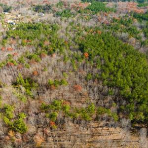 Photo #34 of SOLD property in Off Rocky Ridge Road, Oxford, NC 12.6 acres