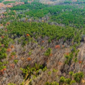Photo #35 of SOLD property in Off Rocky Ridge Road, Oxford, NC 12.6 acres