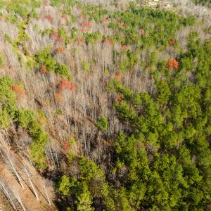 Photo #36 of SOLD property in Off Rocky Ridge Road, Oxford, NC 12.6 acres