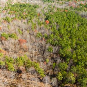 Photo #37 of SOLD property in Off Rocky Ridge Road, Oxford, NC 12.6 acres