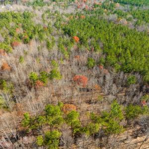 Photo #38 of SOLD property in Off Rocky Ridge Road, Oxford, NC 12.6 acres