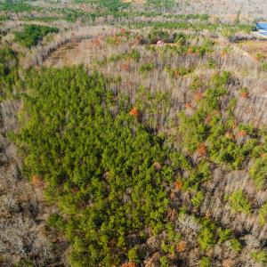 Photo #10 of SOLD property in Off Rocky Ridge Road, Oxford, NC 12.6 acres