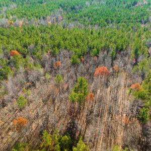 Photo #39 of SOLD property in Off Rocky Ridge Road, Oxford, NC 12.6 acres