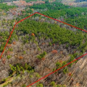 Photo #13 of SOLD property in Off Rocky Ridge Road, Oxford, NC 12.6 acres