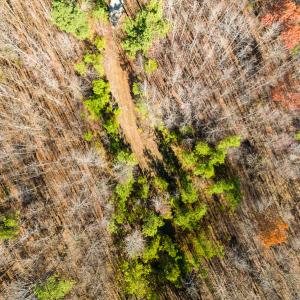 Photo #14 of SOLD property in Off Rocky Ridge Road, Oxford, NC 12.6 acres
