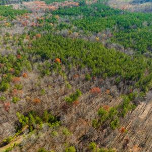 Photo #15 of SOLD property in Off Rocky Ridge Road, Oxford, NC 12.6 acres