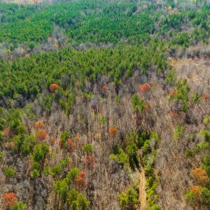 Photo #19 of SOLD property in Off Rocky Ridge Road, Oxford, NC 12.6 acres