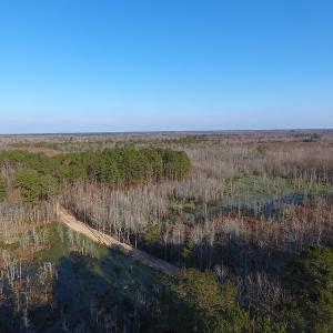 Photo #2 of NC 87 Highway East, Elizabethtown, NC 140.0 acres