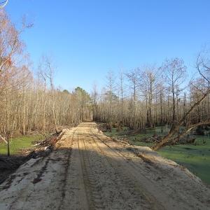 Photo #22 of NC 87 Highway East, Elizabethtown, NC 140.0 acres