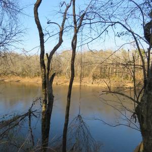 Photo #18 of NC 87 Highway East, Elizabethtown, NC 140.0 acres