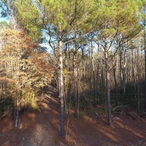Photo #15 of NC 87 Highway East, Elizabethtown, NC 140.0 acres