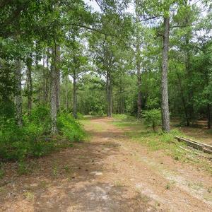 Photo #9 of NC 87 Highway East, Elizabethtown, NC 140.0 acres