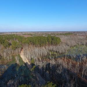 Photo #5 of NC 87 Highway East, Elizabethtown, NC 140.0 acres