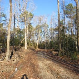 Photo #14 of NC 87 Highway East, Elizabethtown, NC 140.0 acres