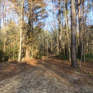 Photo #23 of NC 87 Highway East, Elizabethtown, NC 140.0 acres