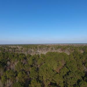 Photo #3 of NC 87 Highway East, Elizabethtown, NC 140.0 acres