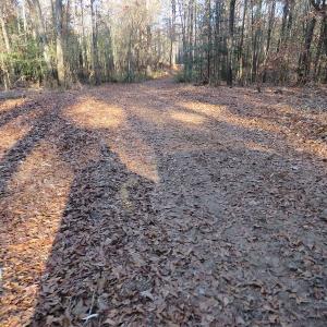 Photo #24 of NC 87 Highway East, Elizabethtown, NC 140.0 acres