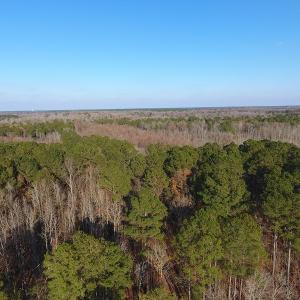 Photo #4 of NC 87 Highway East, Elizabethtown, NC 140.0 acres
