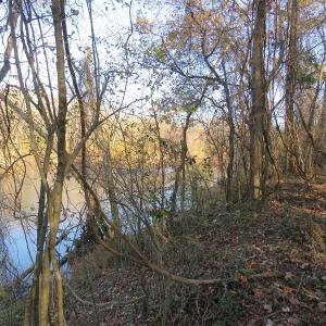 Photo #20 of NC 87 Highway East, Elizabethtown, NC 140.0 acres