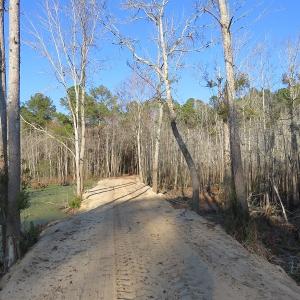 Photo #21 of NC 87 Highway East, Elizabethtown, NC 140.0 acres