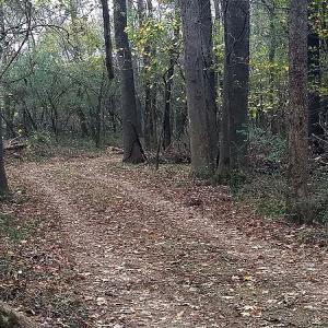 Photo #25 of NC 87 Highway East, Elizabethtown, NC 140.0 acres