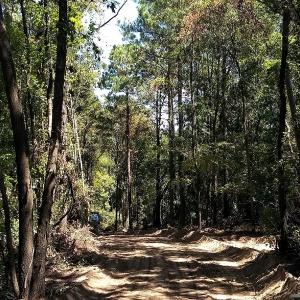 Photo #26 of NC 87 Highway East, Elizabethtown, NC 140.0 acres