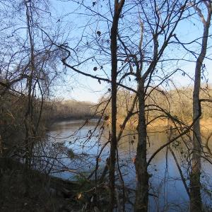 Photo #17 of NC 87 Highway East, Elizabethtown, NC 140.0 acres