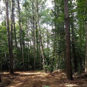 Photo #11 of NC 87 Highway East, Elizabethtown, NC 140.0 acres