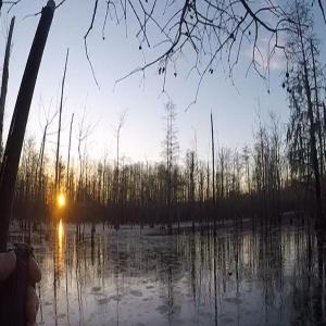 Photo #19 of NC 87 Highway East, Elizabethtown, NC 140.0 acres