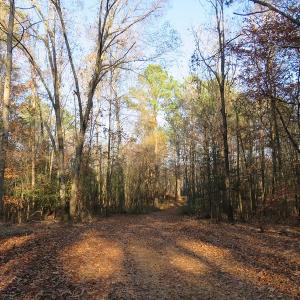 Photo #13 of NC 87 Highway East, Elizabethtown, NC 140.0 acres